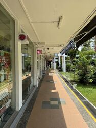Ping-an Gardens (D16), Shop House #502174231